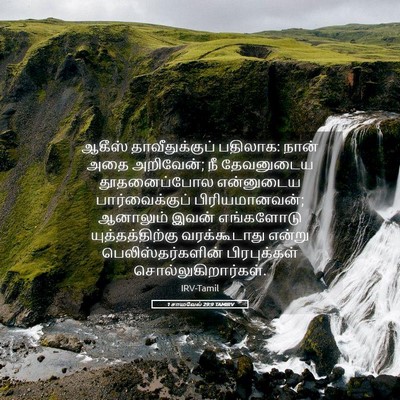 Picture 05 - 1 சாமுவேல் 29:9 TAMIRV - ஆகீஸ் - Bible Verse Picture