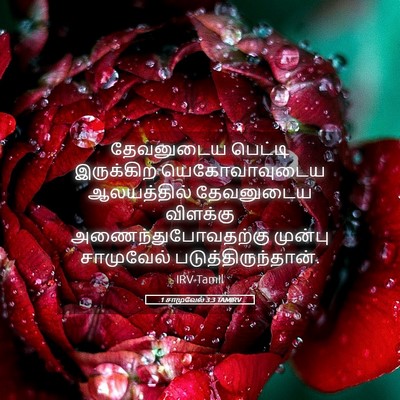 Picture 05 - 1 சாமுவேல் 3:3 TAMIRV - தேவனுடைய பெட்டி - Bible Verse Picture