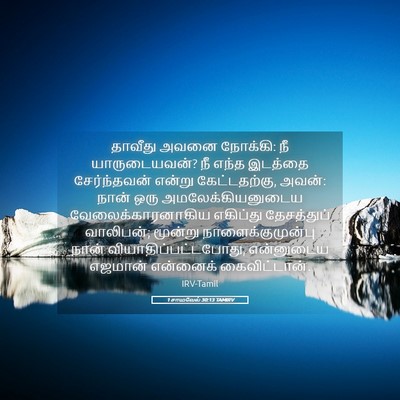 Picture 05 - 1 சாமுவேல் 30:13 TAMIRV - தாவீது அவனை - Bible Verse Picture