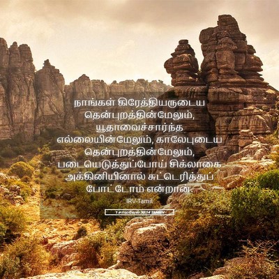 Picture 05 - 1 சாமுவேல் 30:14 TAMIRV - நாங்கள் - Bible Verse Picture