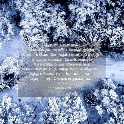 Picture 05 - 1 சாமுவேல் 30:16 TAMIRV - இவன் அவனைக் - Bible Verse Picture
