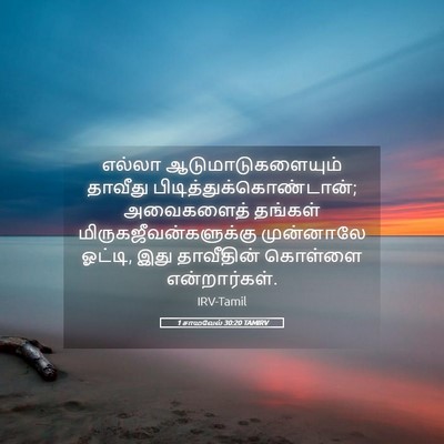 Picture 05 - 1 சாமுவேல் 30:20 TAMIRV - எல்லா - Bible Verse Picture