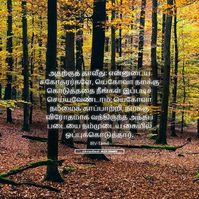 Picture 05 - 1 சாமுவேல் 30:23 TAMIRV - அதற்குத் தாவீது: - Bible Verse Picture