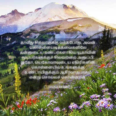 Picture 05 - 1 சாமுவேல் 30:26 TAMIRV - தாவீது - Bible Verse Picture