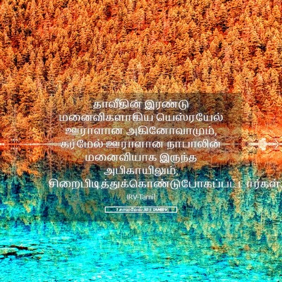 Picture 05 - 1 சாமுவேல் 30:5 TAMIRV - தாவீதின் இரண்டு - Bible Verse Picture