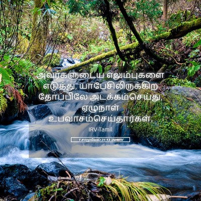 Picture 05 - 1 சாமுவேல் 31:13 TAMIRV - அவர்களுடைய - Bible Verse Picture