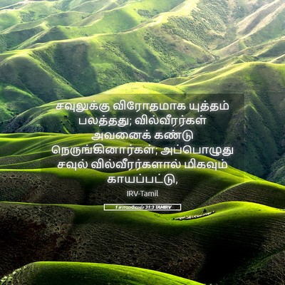 Picture 05 - 1 சாமுவேல் 31:3 TAMIRV - சவுலுக்கு - Bible Verse Picture