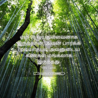 Picture 05 - 1 சாமுவேல் 4:15 TAMIRV - ஏலி 98 வயதுள்ளவனாக - Bible Verse Picture