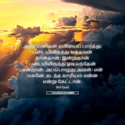 Picture 05 - 1 சாமுவேல் 4:16 TAMIRV - அந்த மனிதன் - Bible Verse Picture