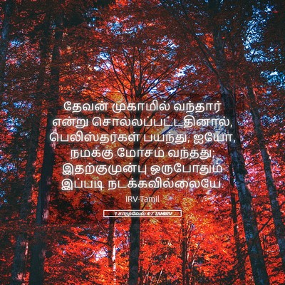 Picture 05 - 1 சாமுவேல் 4:7 TAMIRV - தேவன் முகாமில் - Bible Verse Picture