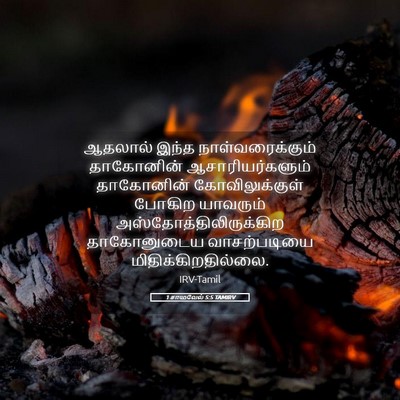 Picture 05 - 1 சாமுவேல் 5:5 TAMIRV - ஆதலால் இந்த - Bible Verse Picture