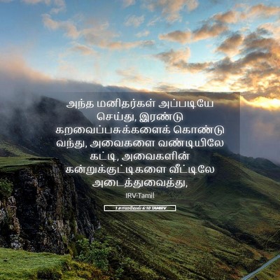 Picture 05 - 1 சாமுவேல் 6:10 TAMIRV - அந்த மனிதர்கள் - Bible Verse Picture