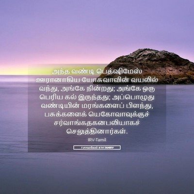 Picture 05 - 1 சாமுவேல் 6:14 TAMIRV - அந்த வண்டி - Bible Verse Picture