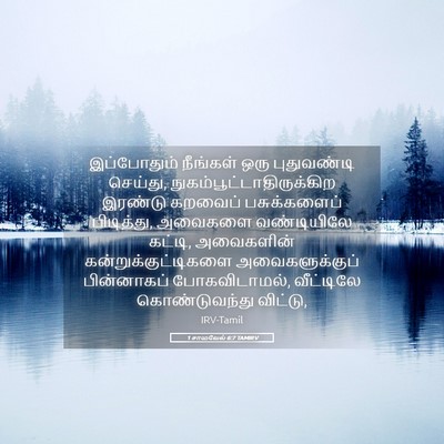 Picture 05 - 1 சாமுவேல் 6:7 TAMIRV - இப்போதும் நீங்கள் - Bible Verse Picture