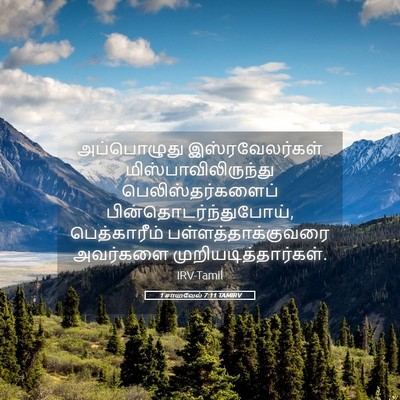 Picture 05 - 1 சாமுவேல் 7:11 TAMIRV - அப்பொழுது - Bible Verse Picture