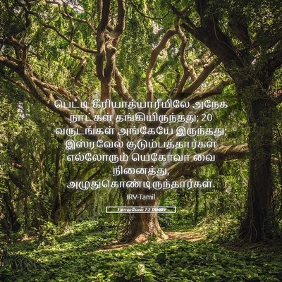 Picture 05 - 1 சாமுவேல் 7:2 TAMIRV - பெட்டி - Bible Verse Picture