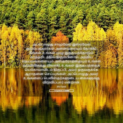 Picture 05 - 1 சாமுவேல் 7:3 TAMIRV - அப்பொழுது - Bible Verse Picture