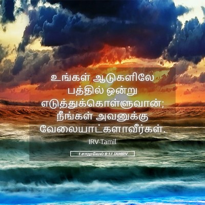 Picture 05 - 1 சாமுவேல் 8:17 TAMIRV - உங்கள் ஆடுகளிலே - Bible Verse Picture