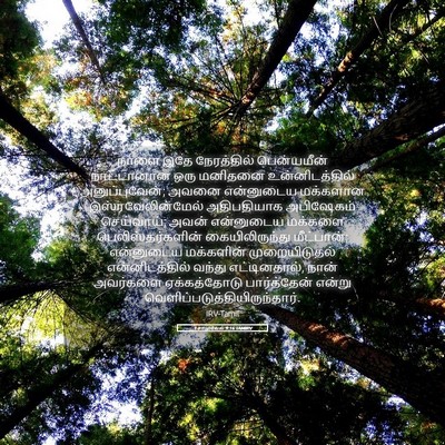 Picture 05 - 1 சாமுவேல் 9:16 TAMIRV - நாளை இதே - Bible Verse Picture