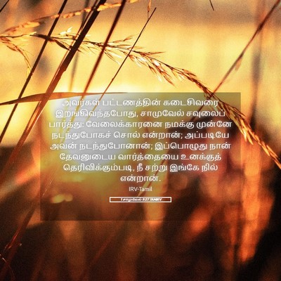 Picture 05 - 1 சாமுவேல் 9:27 TAMIRV - அவர்கள் - Bible Verse Picture