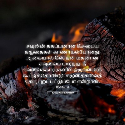 Picture 05 - 1 சாமுவேல் 9:3 TAMIRV - சவுலின் தகப்பனான - Bible Verse Picture