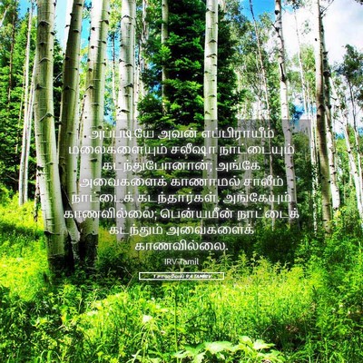 Picture 05 - 1 சாமுவேல் 9:4 TAMIRV - அப்படியே அவன் - Bible Verse Picture