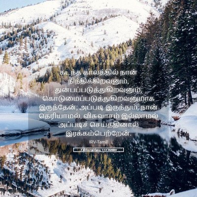 Picture 05 - 1 தீமோத்தேயு 1:13 TAMIRV - கடந்த காலத்தில் - Bible Verse Picture