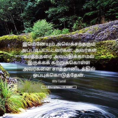 Picture 05 - 1 தீமோத்தேயு 1:20 TAMIRV - இமெனேயும் - Bible Verse Picture