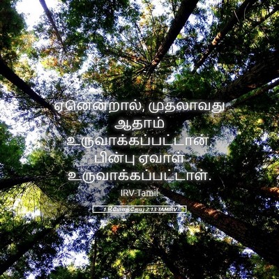 Picture 05 - 1 தீமோத்தேயு 2:13 TAMIRV - ஏனென்றால், - Bible Verse Picture