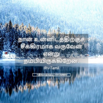 Picture 05 - 1 தீமோத்தேயு 3:14 TAMIRV - நான் - Bible Verse Picture