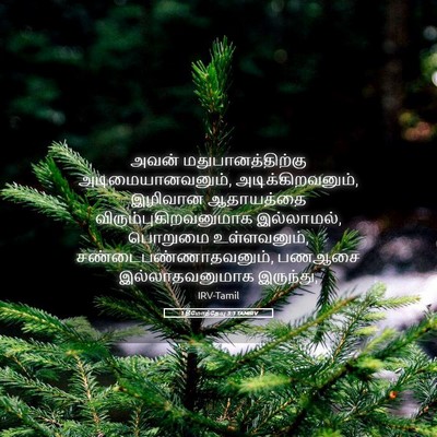 Picture 05 - 1 தீமோத்தேயு 3:3 TAMIRV - அவன் - Bible Verse Picture