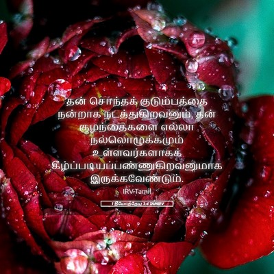 Picture 05 - 1 தீமோத்தேயு 3:4 TAMIRV - தன் சொந்தக் - Bible Verse Picture