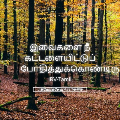 Picture 05 - 1 தீமோத்தேயு 4:11 TAMIRV - இவைகளை நீ - Bible Verse Picture