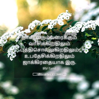 Picture 05 - 1 தீமோத்தேயு 4:13 TAMIRV - நான் - Bible Verse Picture