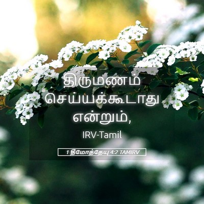 Picture 05 - 1 தீமோத்தேயு 4:2 TAMIRV - திருமணம் - Bible Verse Picture