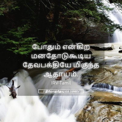 Picture 05 - 1 தீமோத்தேயு 6:6 TAMIRV - போதும் என்கிற - Bible Verse Picture