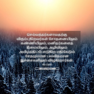 Picture 05 - 1 தீமோத்தேயு 6:9 TAMIRV -  - Bible Verse Picture