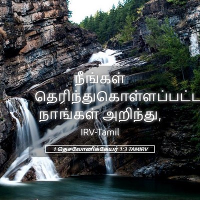 Picture 05 - 1 தெசலோனிக்கேயர் 1:3 TAMIRV - நீங்கள் - Bible Verse Picture