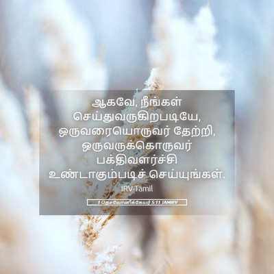 Picture 05 - 1 தெசலோனிக்கேயர் 5:11 TAMIRV - ஆகவே, நீங்கள் - Bible Verse Picture