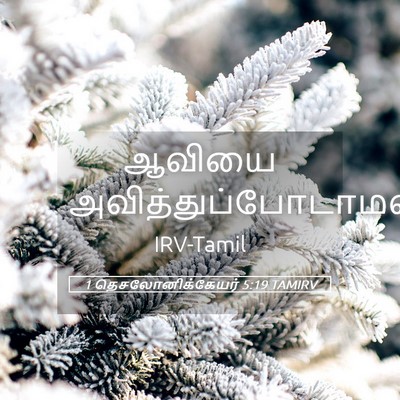 Picture 05 - 1 தெசலோனிக்கேயர் 5:19 TAMIRV - ஆவியை - Bible Verse Picture