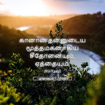 Picture 05 - 1 நாளாகமம் 1:13 TAMIRV - கானான் தன்னுடைய - Bible Verse Picture
