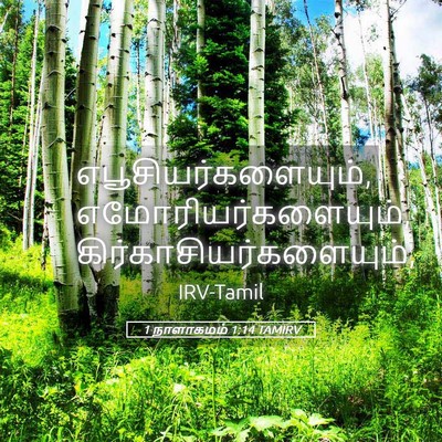 Picture 05 - 1 நாளாகமம் 1:14 TAMIRV - எபூசியர்களையும், - Bible Verse Picture