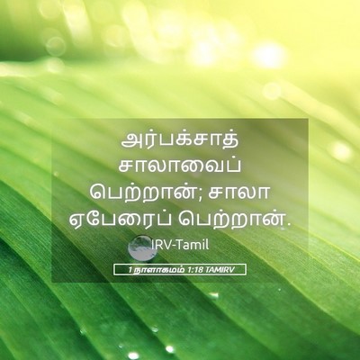 Picture 05 - 1 நாளாகமம் 1:18 TAMIRV - அர்பக்சாத் - Bible Verse Picture