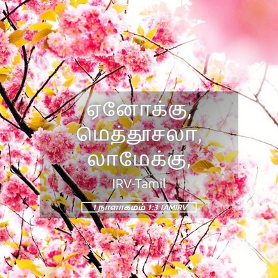 Picture 05 - 1 நாளாகமம் 1:3 TAMIRV - ஏனோக்கு, - Bible Verse Picture