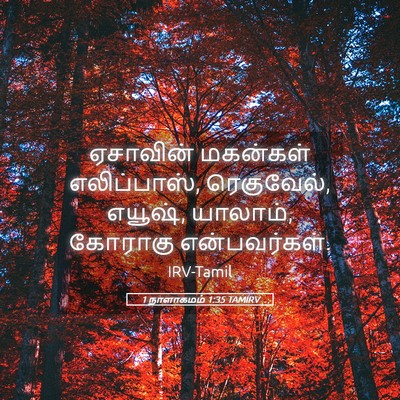 Picture 05 - 1 நாளாகமம் 1:35 TAMIRV - ஏசாவின் மகன்கள் - Bible Verse Picture