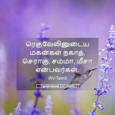 Picture 05 - 1 நாளாகமம் 1:37 TAMIRV - ரெகுவேலினுடைய - Bible Verse Picture