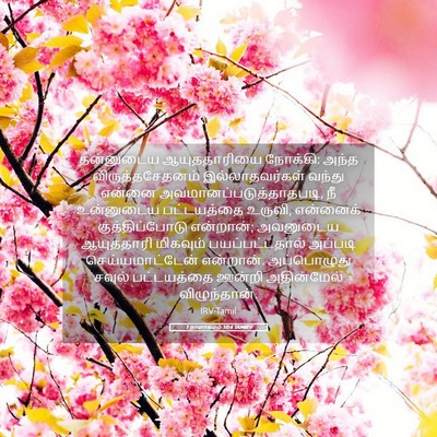 Picture 05 - 1 நாளாகமம் 10:4 TAMIRV - தன்னுடைய - Bible Verse Picture