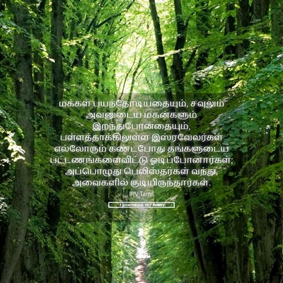 Picture 05 - 1 நாளாகமம் 10:7 TAMIRV - மக்கள் - Bible Verse Picture