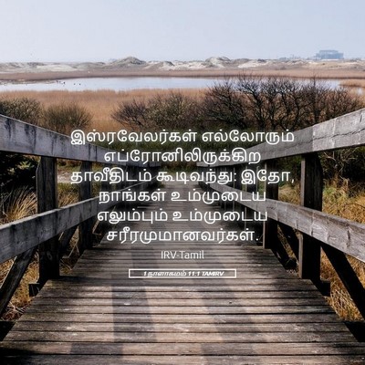 Picture 05 - 1 நாளாகமம் 11:1 TAMIRV - இஸ்ரவேலர்கள் - Bible Verse Picture