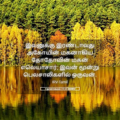 Picture 05 - 1 நாளாகமம் 11:12 TAMIRV - இவனுக்கு - Bible Verse Picture